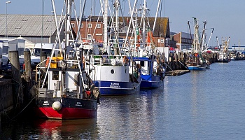 Der Alte Fischereihafen in Cuxhaven © Nordseeheilbad Cuxhaven