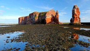 Blick in oder auf das Helgoländer Felswatt © Uwe Nettelmann / Helgoland Tourismus