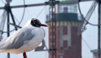 © Nordseeheilbad Cuxhaven GmbH